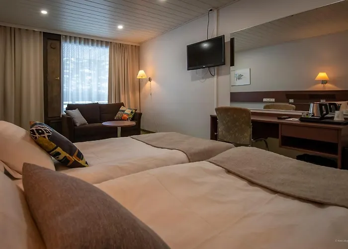 Hotel Mesikaemmen